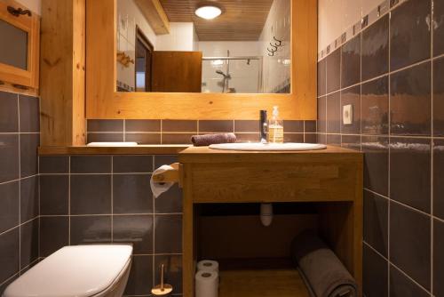 ein Badezimmer mit einem Waschbecken, einem WC und einem Spiegel in der Unterkunft Appartement l'éterlou in Sallanches