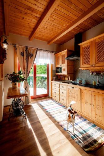a kitchen with a dog standing in the middle of it at Chałupa na wsi u Papierzy Sauna, Jacuzzi, SPA in Witów