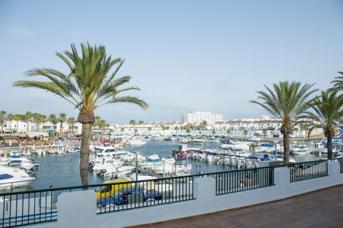 a marina with boats in the water and palm trees at AluaSun Lago Park in Cala'n Bosch