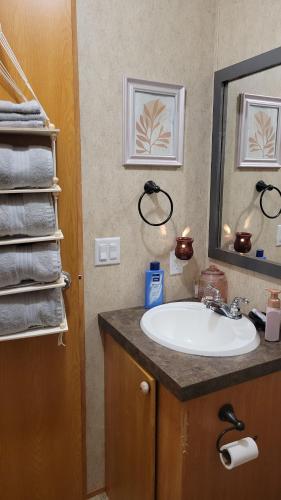 a bathroom with a sink and a mirror at Flatt Creek Cottage in Livingston