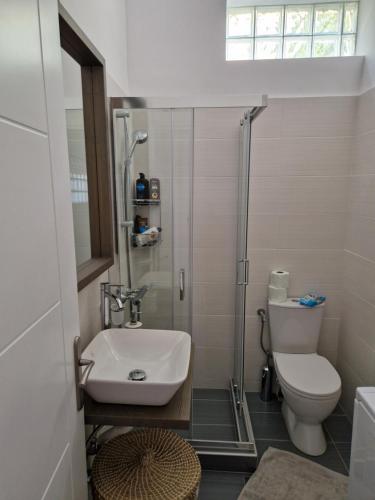 een badkamer met een douche, een toilet en een wastafel bij Anna's in Politiká