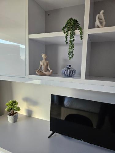 a living room with a tv and a shelf with plants at Quiet, Private Studio Flat in Cambridge City Centre, CB1 in Chesterton