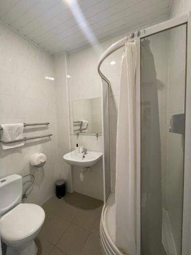 a bathroom with a shower and a toilet and a sink at Darbuotojų apgyvendinimas Šiauliuose in Šiauliai