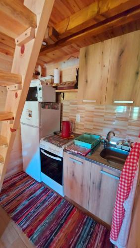 a kitchen with a stove and a sink in a cabin at Tarska čarolija Zaovine in Popovići