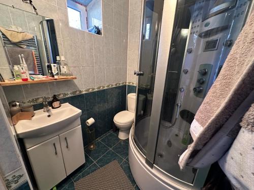 a bathroom with a shower and a sink and a toilet at Le Rustique in Ivancea