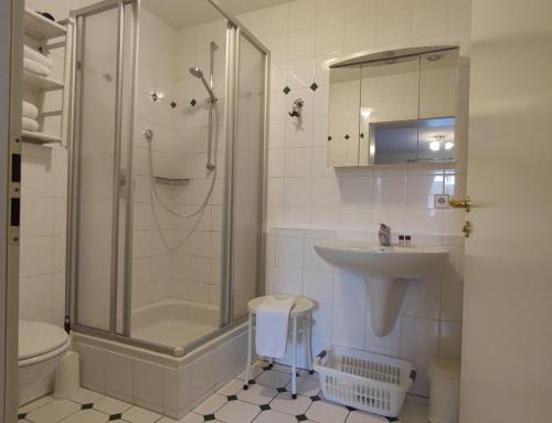 a bathroom with a shower and a sink and a toilet at Ferienhof Fenzl in Pocking