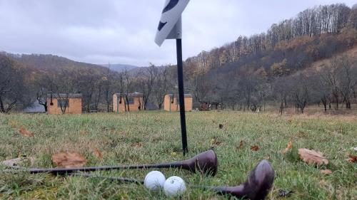 a baseball bat and balls in a field at Poiana Stelelor in Văleni