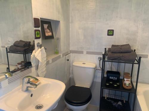 a bathroom with a toilet and a sink at Joli Bord Apartment in Warsaw