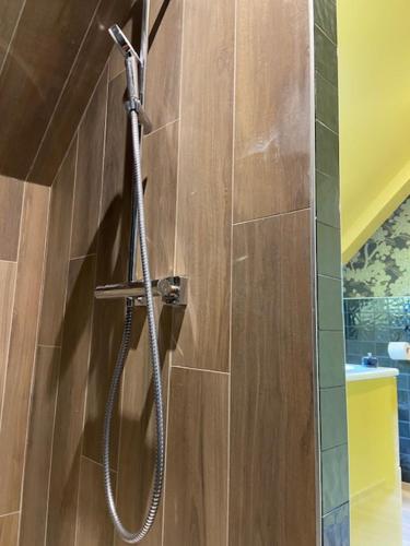 a shower in a bathroom with a shower head at Les Herbes Flottantes in Englesqueville-en-Auge