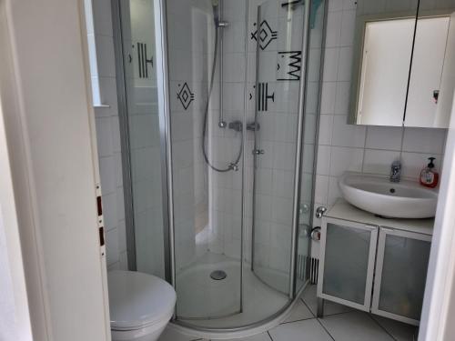 ein Bad mit einer Dusche, einem WC und einem Waschbecken in der Unterkunft Ferienwohnung Waldblick in Heiligenzell