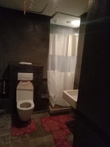 een badkamer met een toilet, een douche en een wastafel bij appartement haut standing à gueliz in Marrakesh