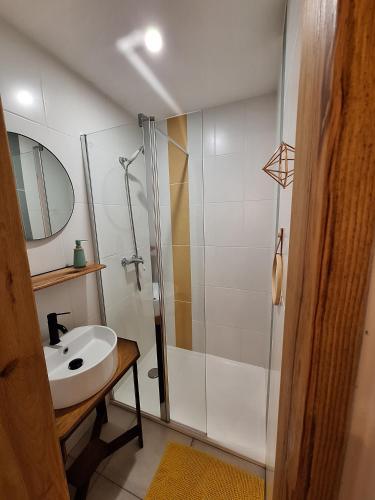 une salle de bain avec un lavabo et une douche dans l'établissement La Pinède du Chéou, Piscine, Logement indépendant, Parking, Draps, Wifi fibre, à Mimizan