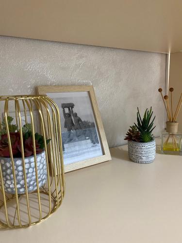 a basket with a picture and a plant on a counter at Люкс в центре Караганды in Karagandy