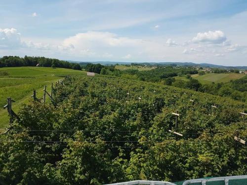 a vineyard with a fence and a field of crops at Vikendica za odmor i dušu in Velika Kladuša