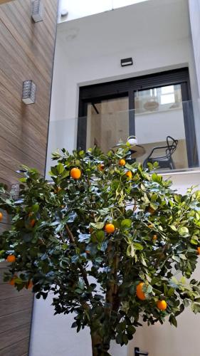 BONNIES Suites & Spa Valencia photo 49