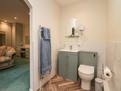 a bathroom with a toilet and a sink and a mirror at Lakeside View in Ulverston