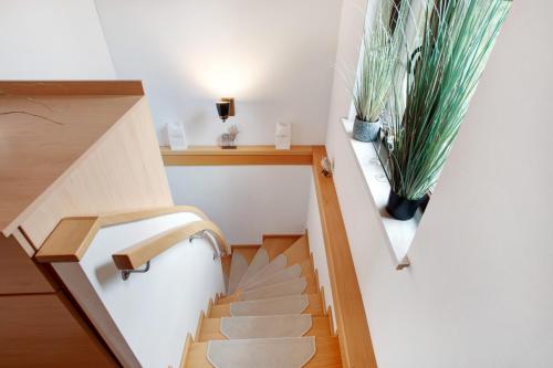 a staircase in a room with a potted plant at Bergchalet 20 in Diemelsee