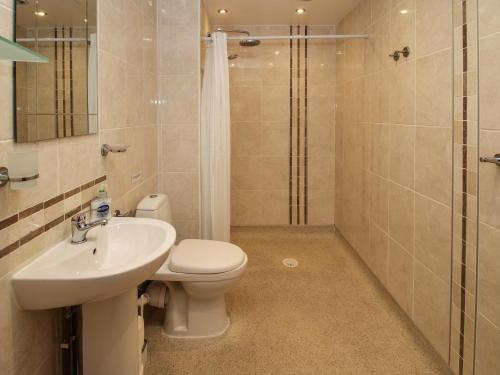 a bathroom with a toilet and a sink and a shower at Meadow View in Mold