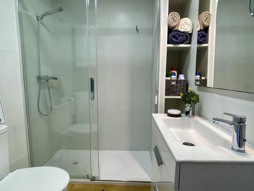 a bathroom with a shower and a sink and a toilet at JARDINS DEL MAR 114 in L'Estartit