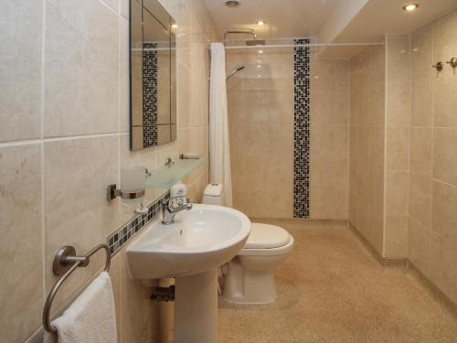 a bathroom with a sink and a toilet and a shower at Alyn View in Llanferres
