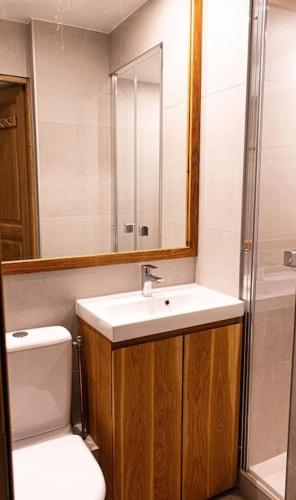 une salle de bain avec toilettes, lavabo et douche dans l'établissement Cocon de détente/Studio/Centre station, à Isola 2000