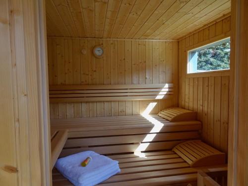 a cabin with a sauna with a window at Alte Tischlerei Engelsbach in Georgenthal