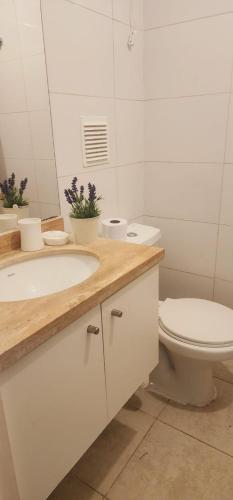 a bathroom with a sink and a toilet and a mirror at Departamento 2d1b Puerto Varas in Puerto Varas