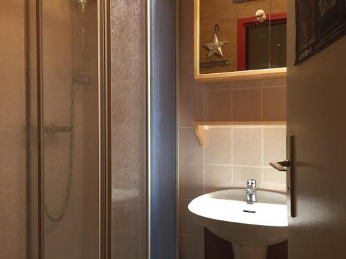 uma casa de banho com um lavatório e um chuveiro em Appartement Peisey-Nancroix-Plan Peisey, 1 pièce, 4 personnes - FR-1-757-97 em Peisey-Nancroix