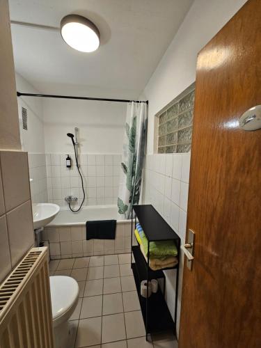 ein Bad mit einem WC, einem Waschbecken und einer Dusche in der Unterkunft Fewo mit Ausblick in Salzgitter
