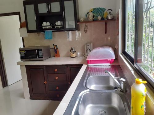 uma cozinha com um lavatório e um micro-ondas em Gigi's Self Catering Apartment em Port Glaud