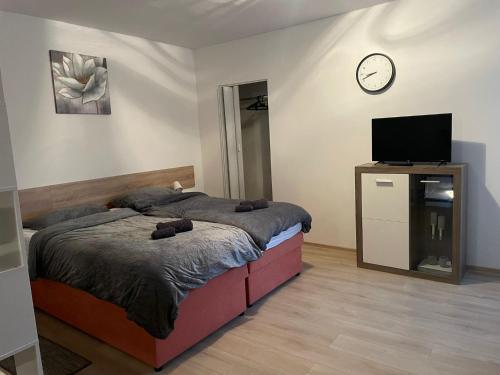 ŽdraloviにあるStudio apartman Happinessのベッドルーム1室(ベッド1台、壁にテレビ付)