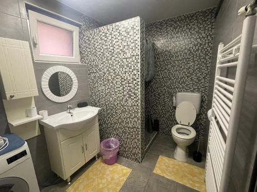 ein kleines Bad mit einem Waschbecken und einem WC in der Unterkunft Studio apartman Happiness in Ždralovi