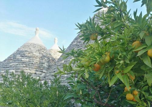 Foto dalla galleria di Trulli sull'Aia San Michele a Monopoli