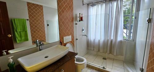 La salle de bains est pourvue d'un lavabo, d'une douche et de toilettes. dans l'établissement Diplomatic Short Stay in Gigiri, à Nairobi