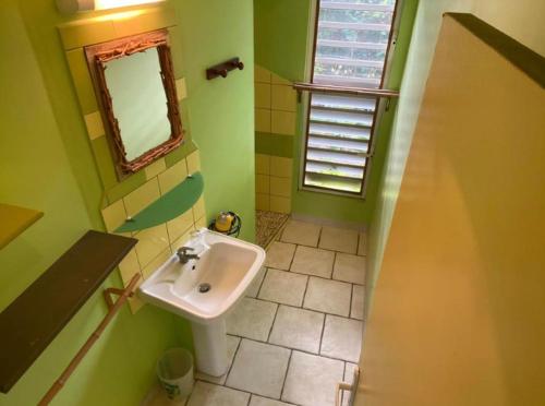a green bathroom with a sink and a mirror at Gîtes Bel Vi La in Saint-François