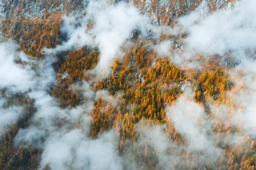 an aerial view of a forest engulfed in clouds at Maso Azzurro Chalet in Stenico
