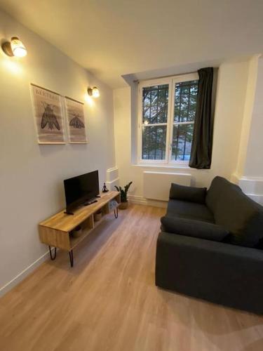 un salon avec un canapé et une table dans l'établissement Cozy 1BR+Sofa Bed in Lyon Center, à Lyon