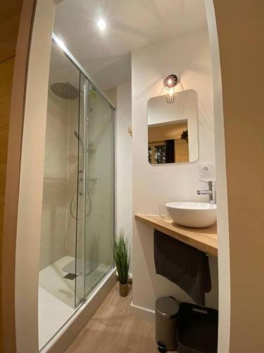 une salle de bain avec une douche en verre et un lavabo dans l'établissement Cozy 1BR+Sofa Bed in Lyon Center, à Lyon