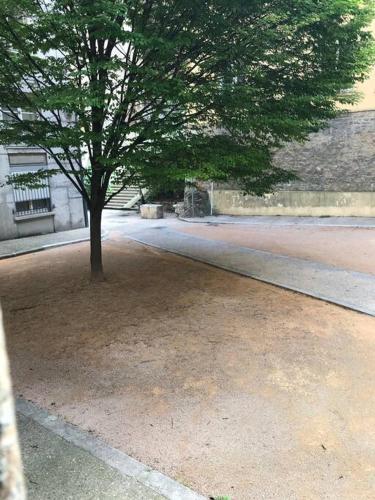 un arbre au milieu d'un chemin de terre dans l'établissement Cozy 1BR+Sofa Bed in Lyon Center, à Lyon