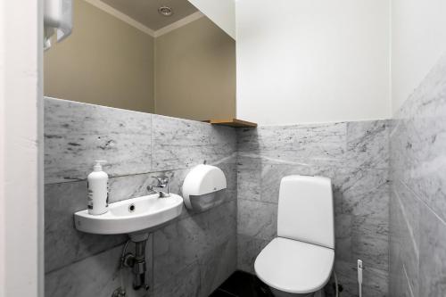 a bathroom with a toilet and a sink at Millestgården Eco lodge in Duved