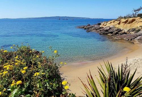 a beach with some yellow flowers and the water at Monolocale a pochi passi dal mare in Portoscuso