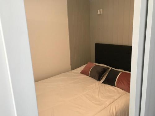 1 dormitorio con 1 cama con 2 almohadas en COCON DE 4 à 6 personnes en Val Louron