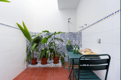 Casa Verde