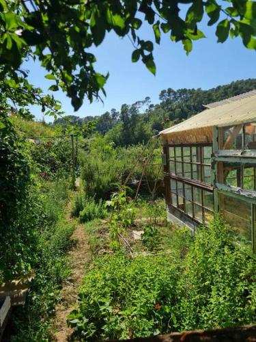 Κήπος έξω από το Cabayourte à la mauvaise herbe