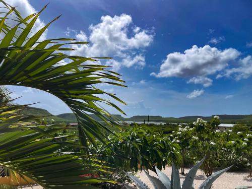 a palm tree and a blue sky with clouds at Jan Kok Lodges in Willibrordus