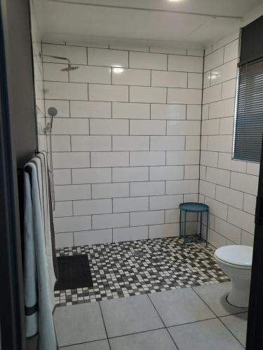 a bathroom with a shower and a toilet at 23 Belladonna Cottage in Hermanus