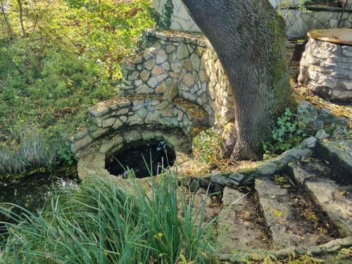 a stone fireplace with a tree in a garden at Joó House in Balatonfüred