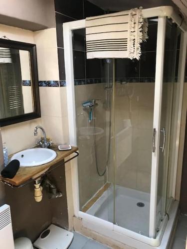 une salle de bain avec une douche, des toilettes et un lavabo dans l'établissement Maisonnette au pied du Mont Ventoux ste colombe, à Bédoin