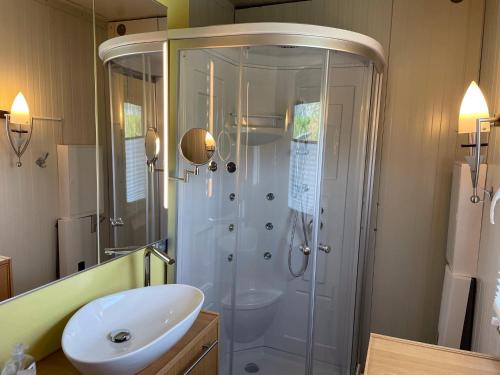 W łazience znajduje się prysznic i umywalka. w obiekcie Hausboot im Hafen w mieście Sankt Goar