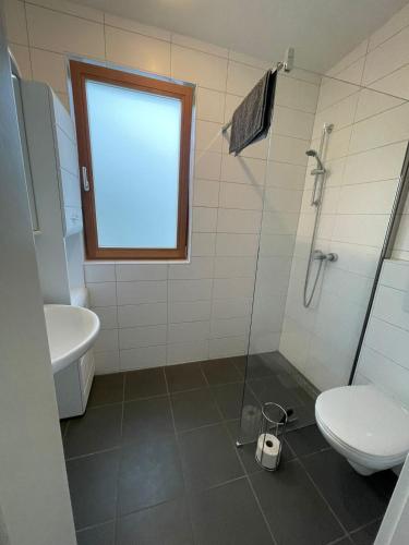 Un baño con inodoro y ducha de cristal. en Camping Hierhold, en Kumberg
